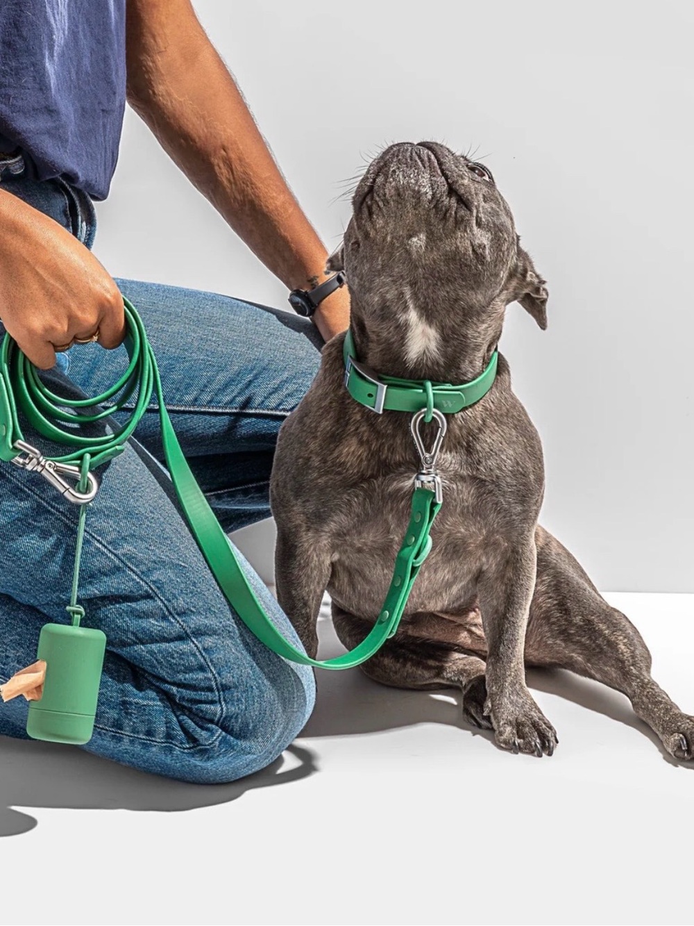 Wild One Classic Waterproof Leash Spruce Small